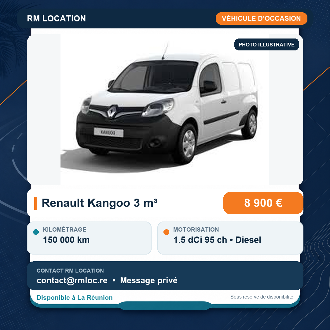 Renault Kangoo 3 m³